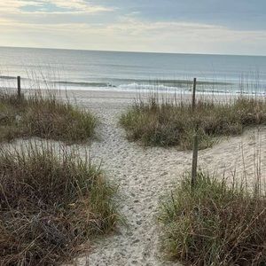 Meet your Posher, Owen